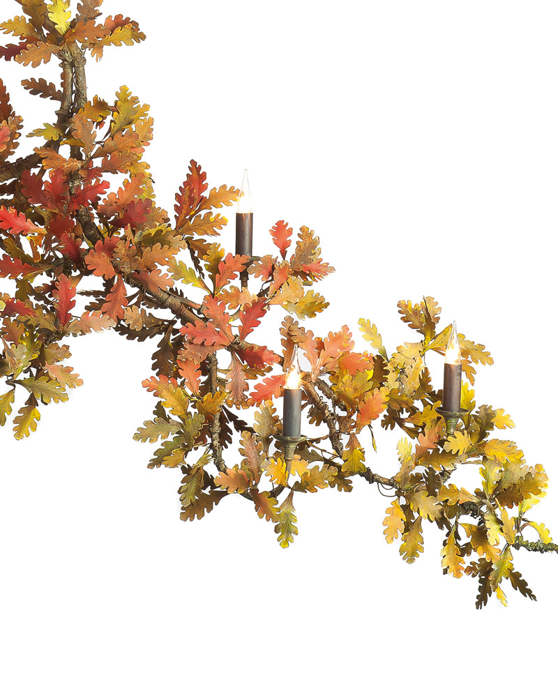 autumn-oak-branch-zoom3-cox-london